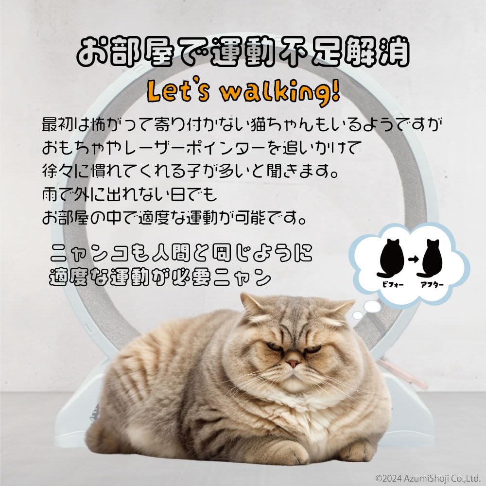 Amazon.co.jp: A-ITEM キャットトレーナー80 キャットホイール 猫